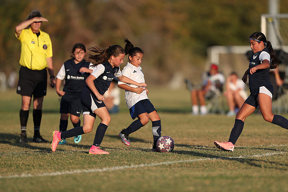 20241027StingG14G8Win-7247