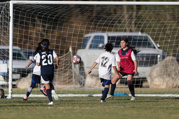 20241027StingG14G8Win-6346