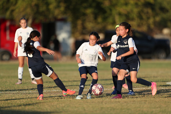 20241027StingG14G8Win-7131
