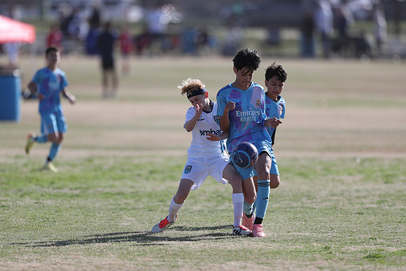 20250315StingAustingG14TigerCupG1-20085