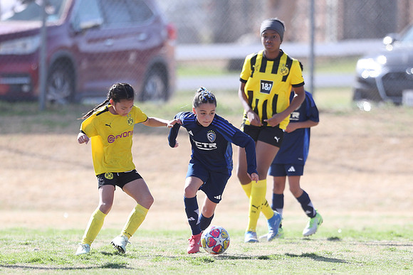 20250315StingAustingG14TigerCupG1-20265