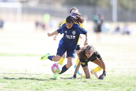 20250315StingAustingG14TigerCupG1-20688