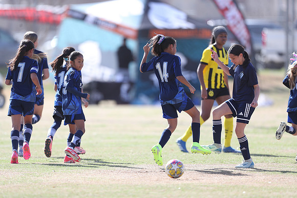 20250315StingAustingG14TigerCupG1-20386