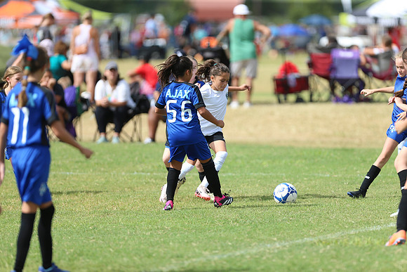 20240831StingLaborDayG3-0534