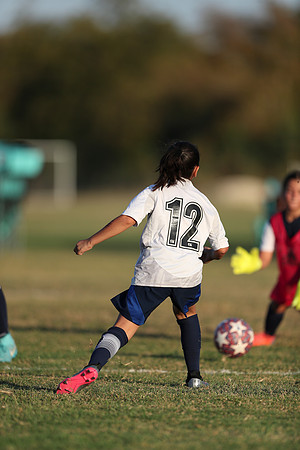 20241027StingG14G8Win-7106