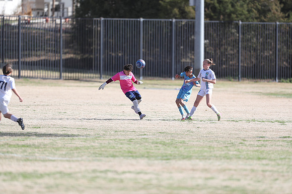 20250315StingAustingG14TigerCupG1-20179