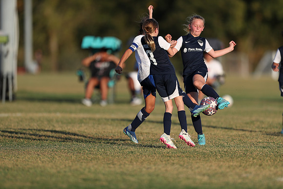 20241027StingG14G8Win-6769