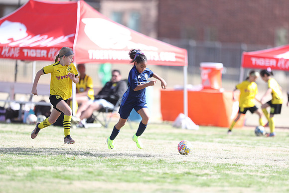 20250315StingAustingG14TigerCupG1-20673