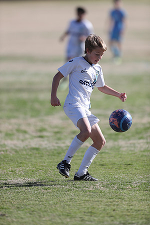 20250315StingAustingG14TigerCupG1-20088
