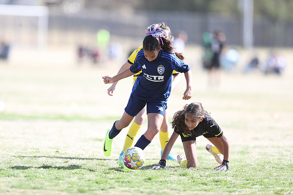 20250315StingAustingG14TigerCupG1-20687
