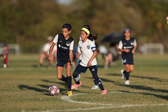 20241027StingG14G8Win-7018