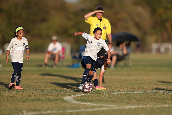 20241027StingG14G8Win-7261