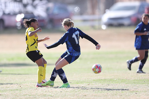 20250315StingAustingG14TigerCupG1-20254