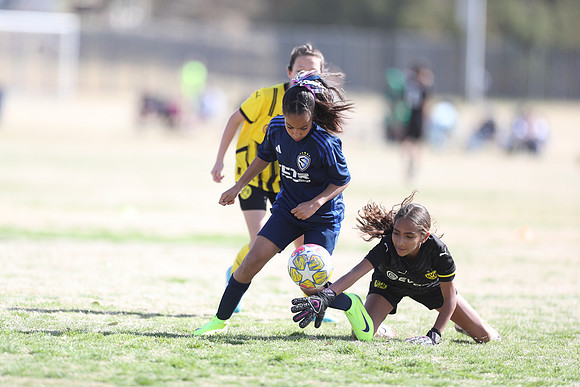 20250315StingAustingG14TigerCupG1-20684