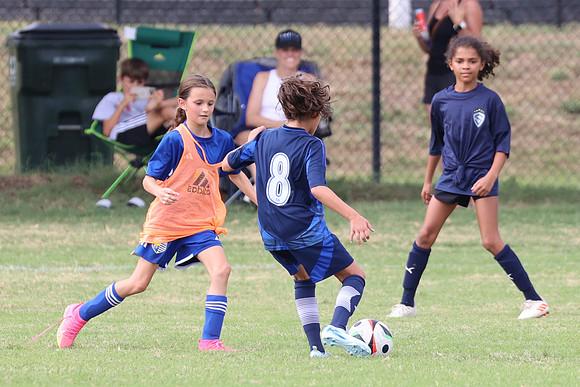 20240914StingG14G2-7212