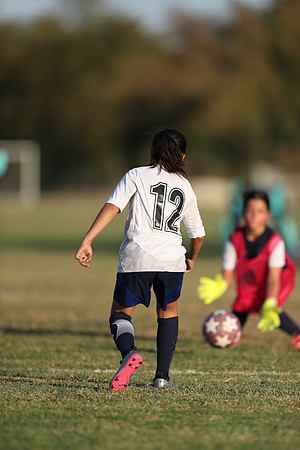 20241027StingG14G8Win-7108