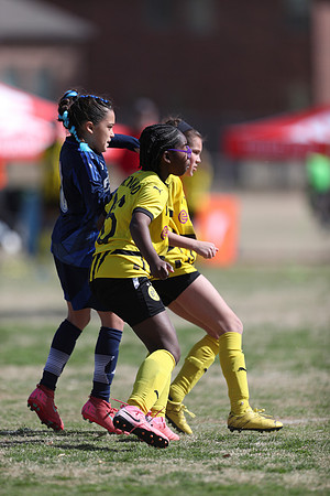 20250315StingAustingG14TigerCupG1-20814