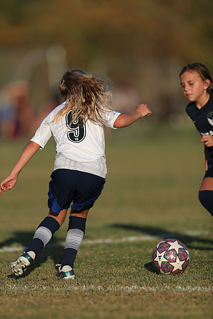 20241027StingG14G8Win-6745