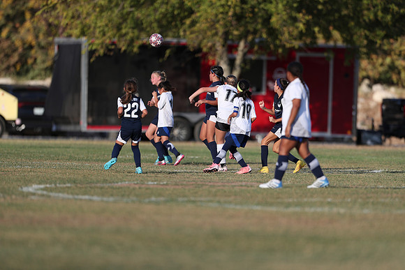 20241027StingG14G8Win-6385