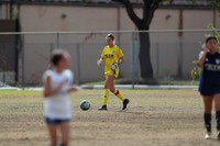 20241103StingG12-8111