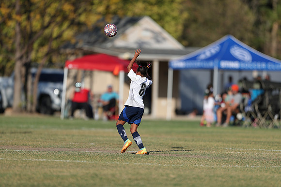 20241027StingG14G8Win-5586