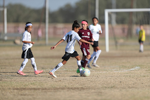20241012StingG14Game6Win-4638