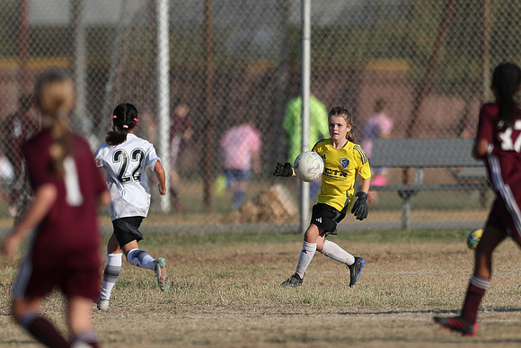 20241012StingG14Game6Win-3982