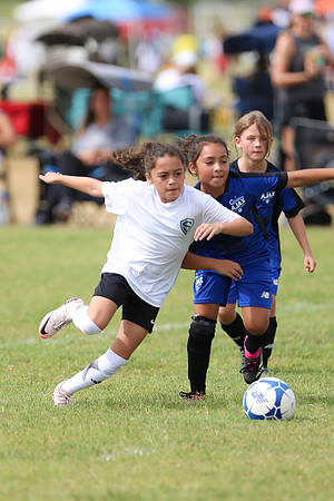 20240831StingLaborDayG3-0609