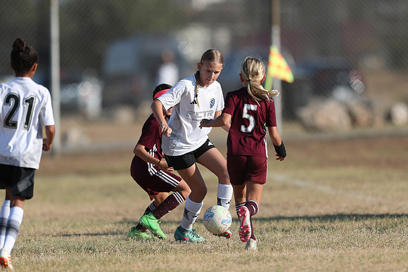 20241012StingG14Game6Win-4531