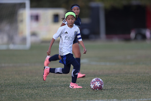 20241027StingG14G8Win-5414