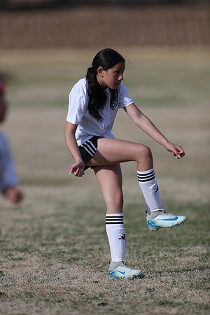 20250315StingAustingG14TigerCupG2-20638