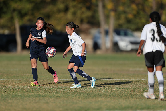 20241027StingG14G8Win-6263