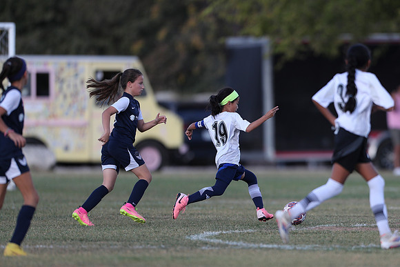 20241027StingG14G8Win-5502