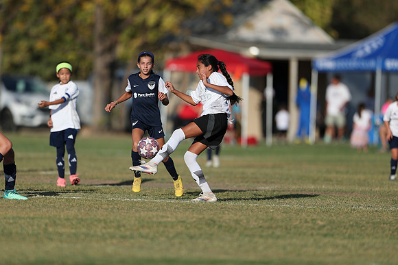 20241027StingG14G8Win-5963