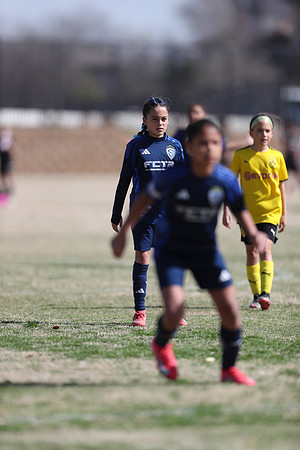 20250315StingAustingG14TigerCupG1-20838