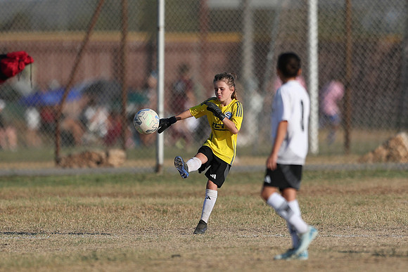 20241012StingG14Game6Win-3993