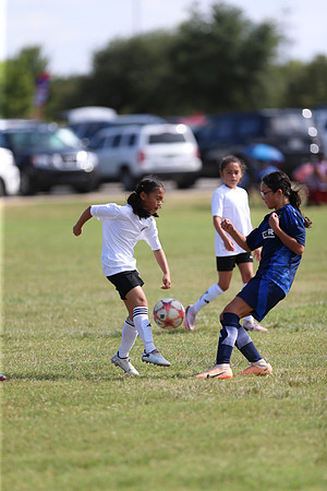 20240831StingLaborDayG2-0096