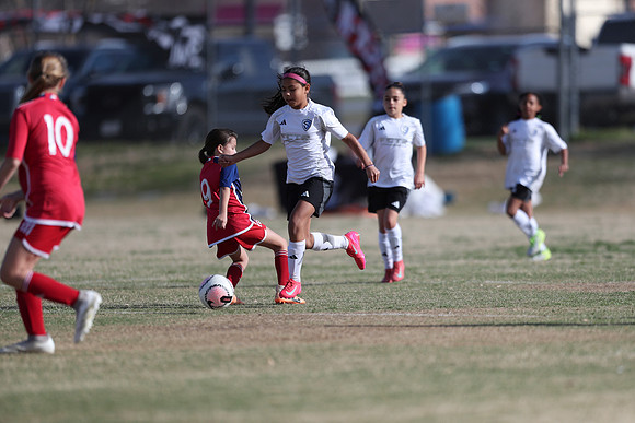 20250315StingAustingG14TigerCupG2-20405