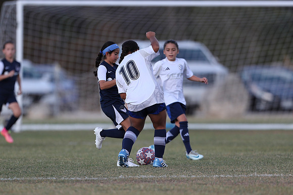 20241027StingG14G8Win-5457