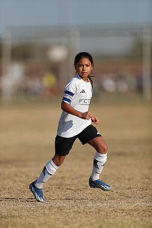 20241012StingG14Game6Win-4310