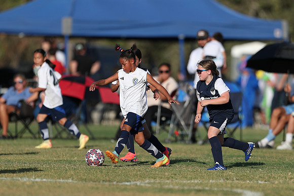 20241027StingG14G8Win-6150