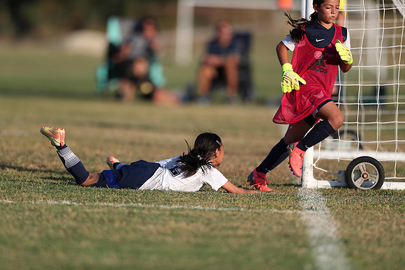 20241027StingG14G8Win-6555