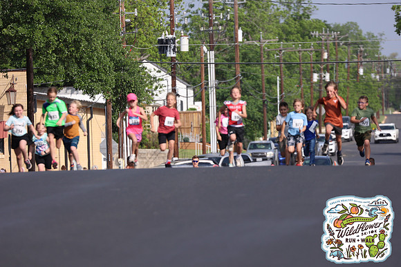20250426HCMWildflower-3114