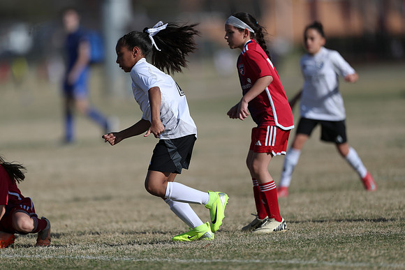 20250315StingAustingG14TigerCupG2-20338