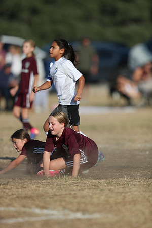 20241012StingG14Game6Win-4109