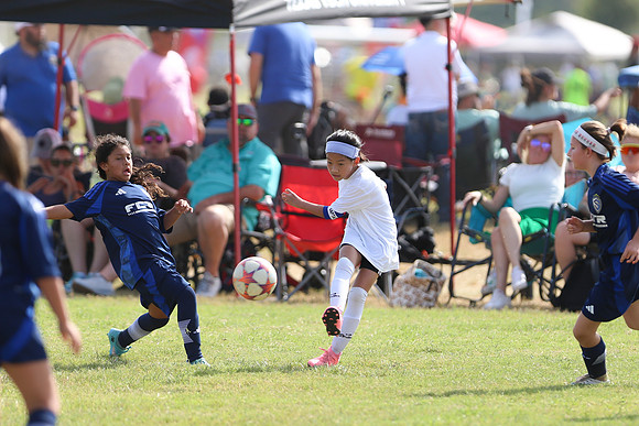 20240831StingLaborDayG2-0333