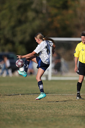 20241027StingG14G8Win-5875