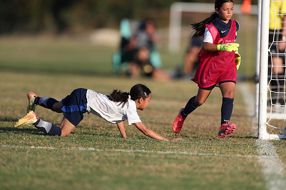 20241027StingG14G8Win-6552