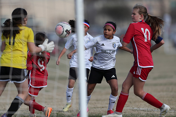 20250315StingAustingG14TigerCupG2-20584