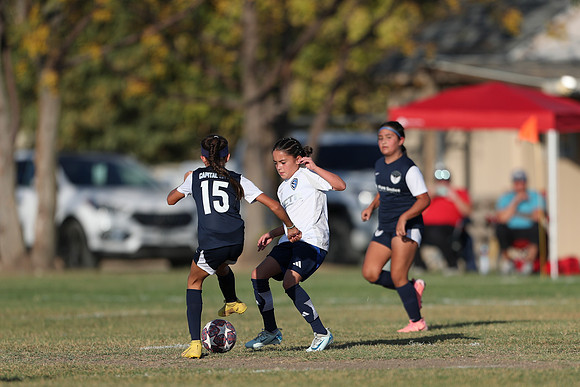 20241027StingG14G8Win-5894